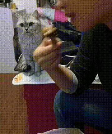 360_432gif 动态图 动图