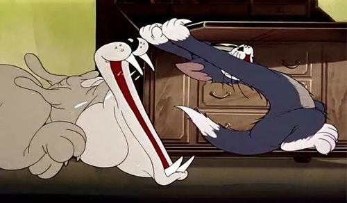 猫和老鼠:猫狗大战谁赢?汤姆天天被毒打,猫的脸全被他丢光了