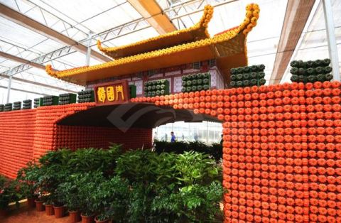 成千上万的蔬菜摆成各种造型,这样的"姜山"你要坐吗?