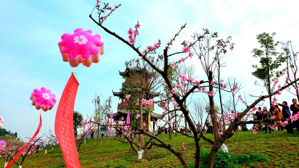 四川省西充县举办桃花节 千人同吃铜火锅