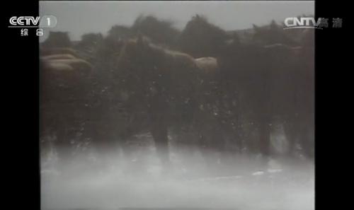“天河牧马”的场面。图片来源：82版《西游记》视频截图