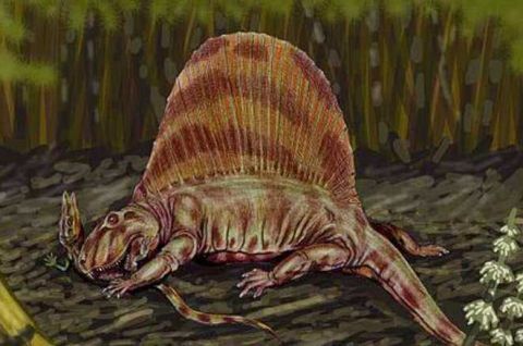 盘点5种强悍的远古动物,第3种生存在中国,仍有争议|龙目|强悍|蒙古