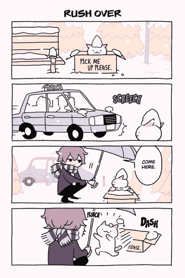 一组男生和流浪猫的温馨漫画看得我少女心都要炸了