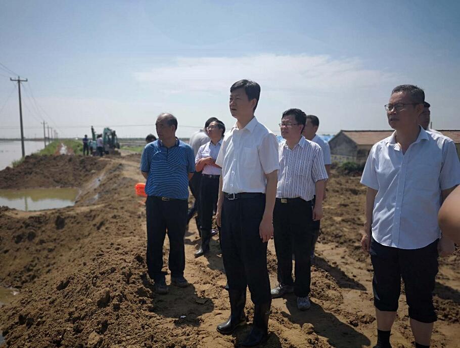 寿光市委书记朱兰玺到侯镇营里镇羊口镇查看现场情况