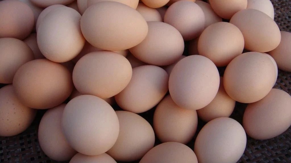 鸡蛋竟能复原破碎的手机屏,简直令人大跌眼镜