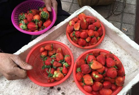 大爷路边摆摊卖草莓,38块钱一盆不议价,这样卖是亏了还是赚了