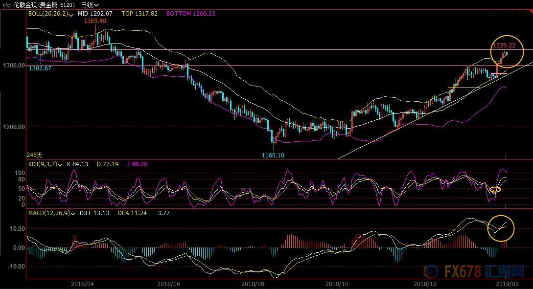 （现货黄金日线图）