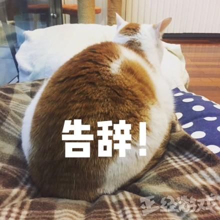 拳头取消比赛开新模式补偿玩家遭吐槽:猪一样的脑回路!