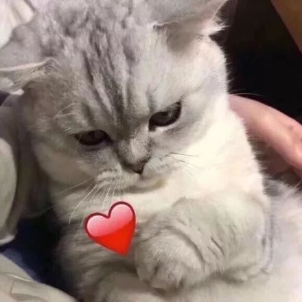 她终于开窍了……皇天不负有心人!看来要直接点!