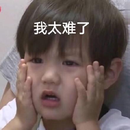 我太难了表情包大全