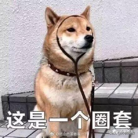 亲测会上瘾!李佳琦的直播,是属于当代年轻人的
