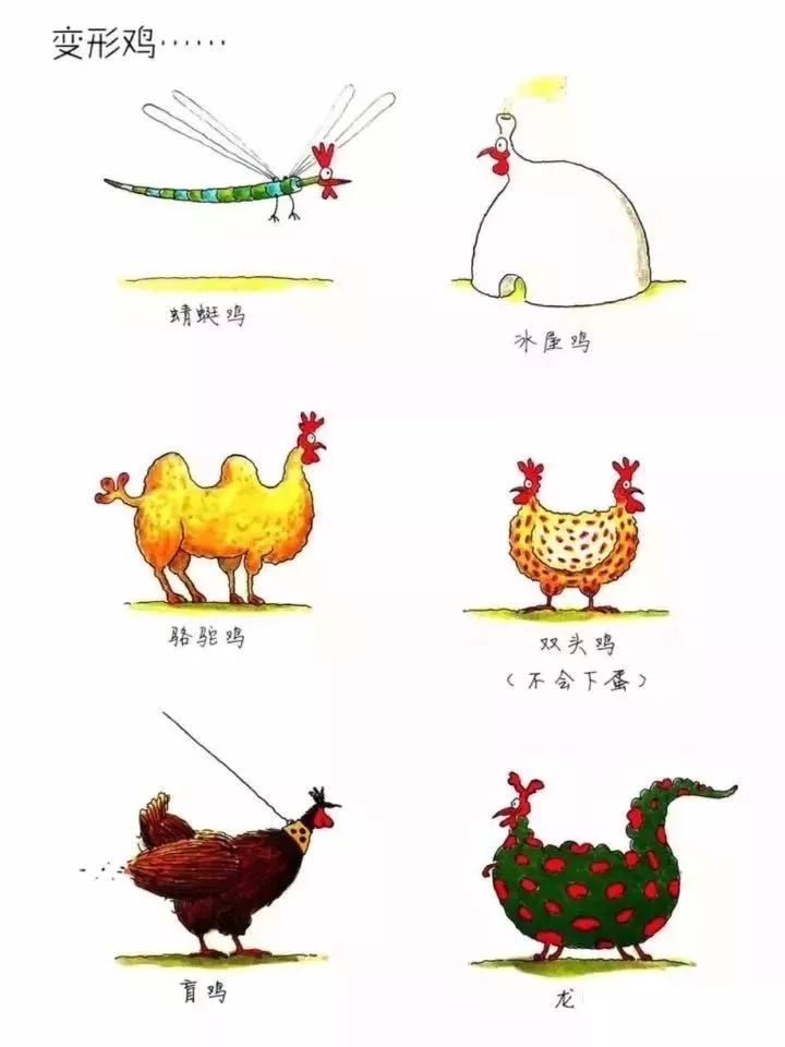 睡前故事下怪蛋的鸡