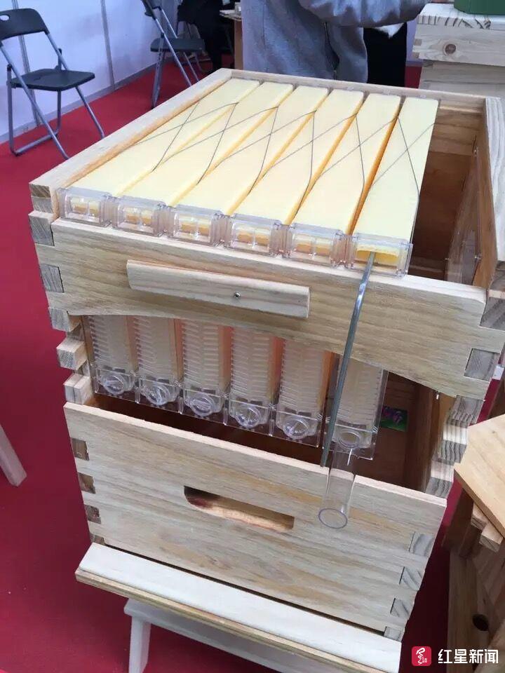 巴中90后老师发明自动取蜜蜂箱,蜂蜜易流出产量增加