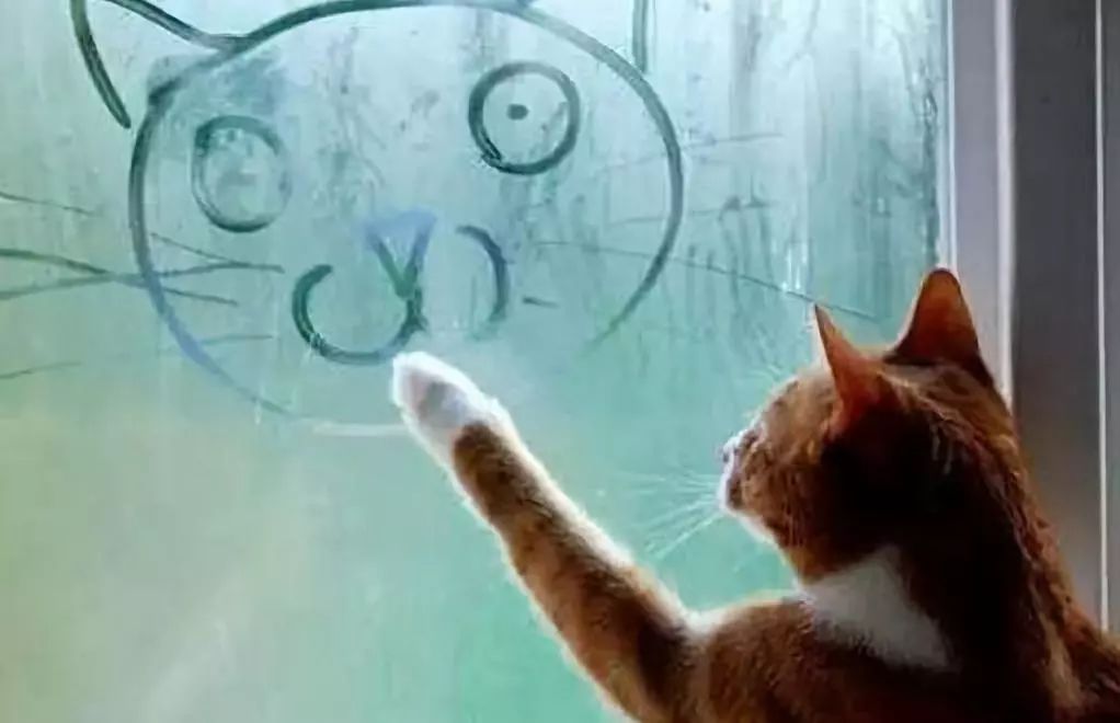 天一冷玻璃就起雾?老司机这一招全搞定!