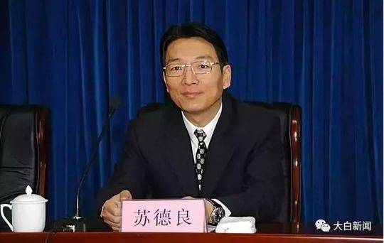 原国安部副部长苏德良履新曾被称救火官员