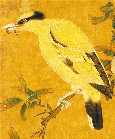 画里"萌鸟"知多少|桃鸠图|梅雀图|画家_新浪新闻