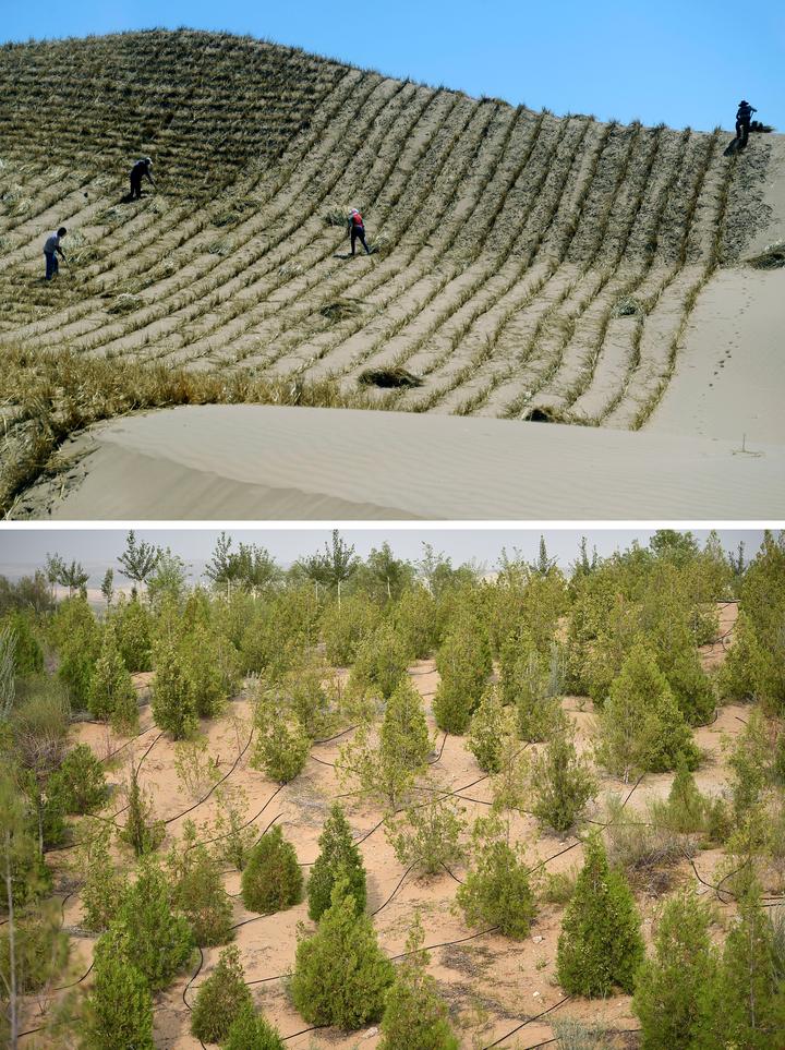 生命不息治沙不止 在"人进沙退"中捍卫"美丽中国"