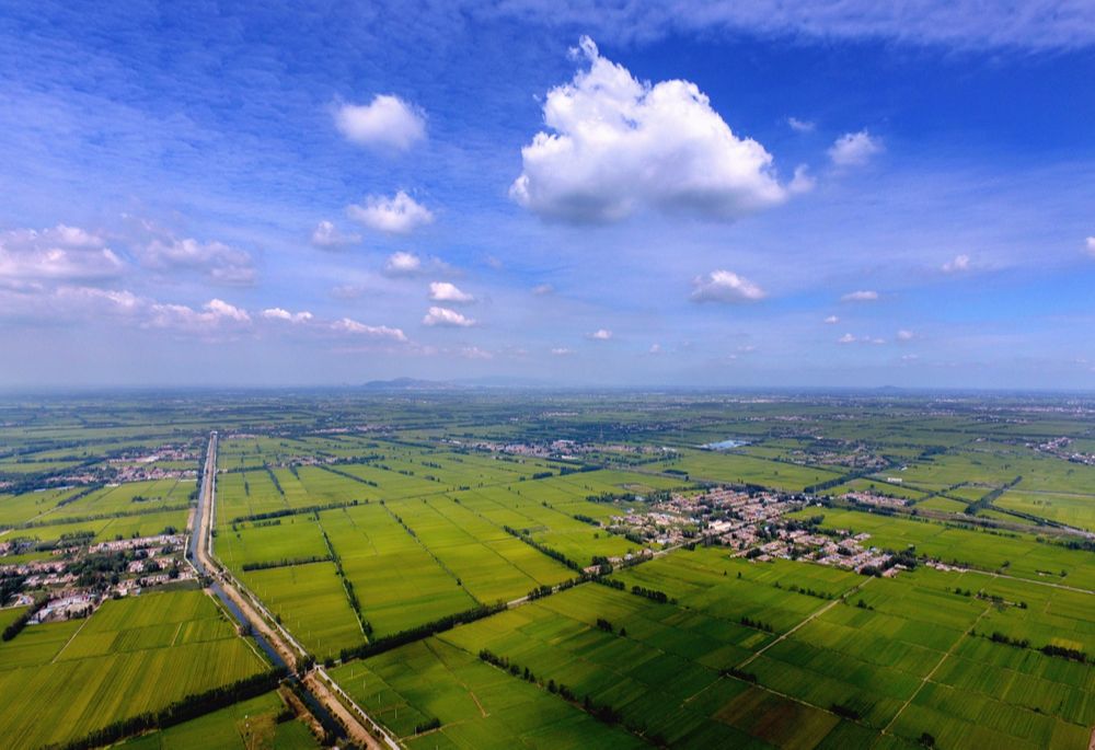 解读沭阳县"高墟大米"(下):一粒稻米如何做成一个品牌