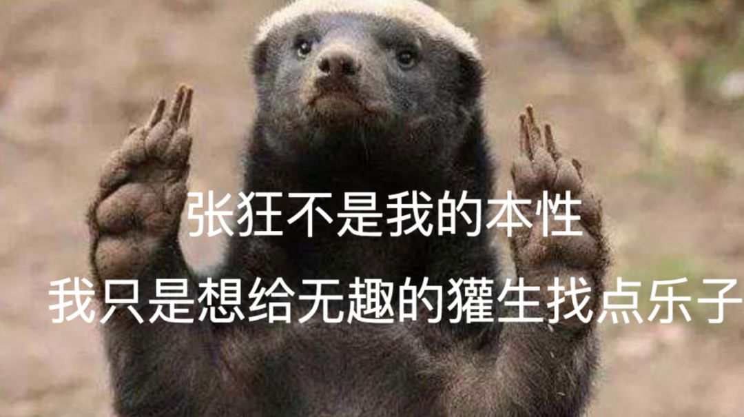 做人当如平头哥生死看淡不服就干