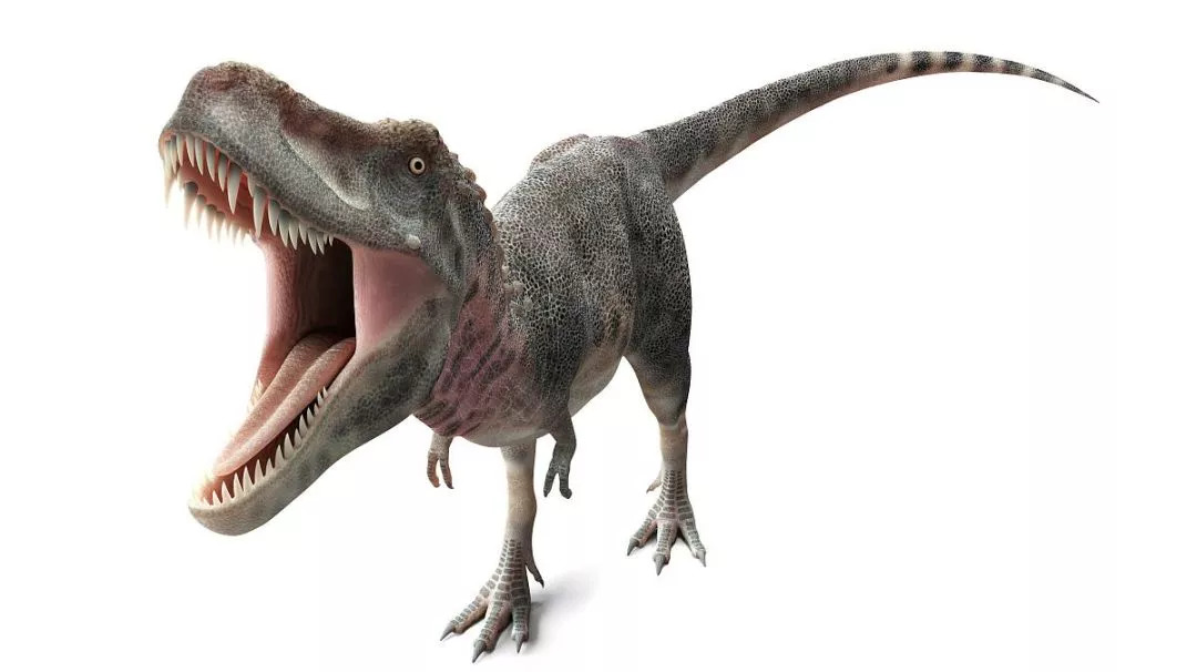 福利文丨侏罗纪公园背后的故事|侏罗纪公园|恐龙|曼特尔_新浪新闻