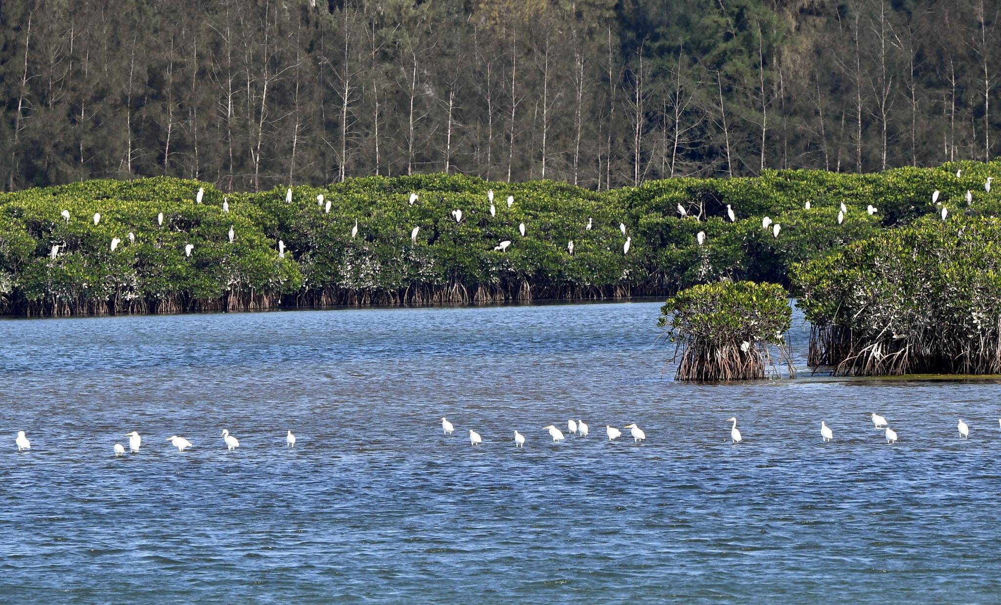 世界海洋日:保护和可持续利用海洋