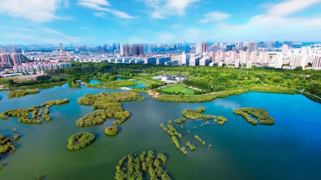 新闻报道显示:银川大阅城7号公寓姑娘,2025年银川大阅城7号公寓姑娘居住环境分析