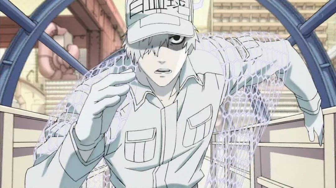 工作细胞|巨噬细胞|清水_新浪新闻