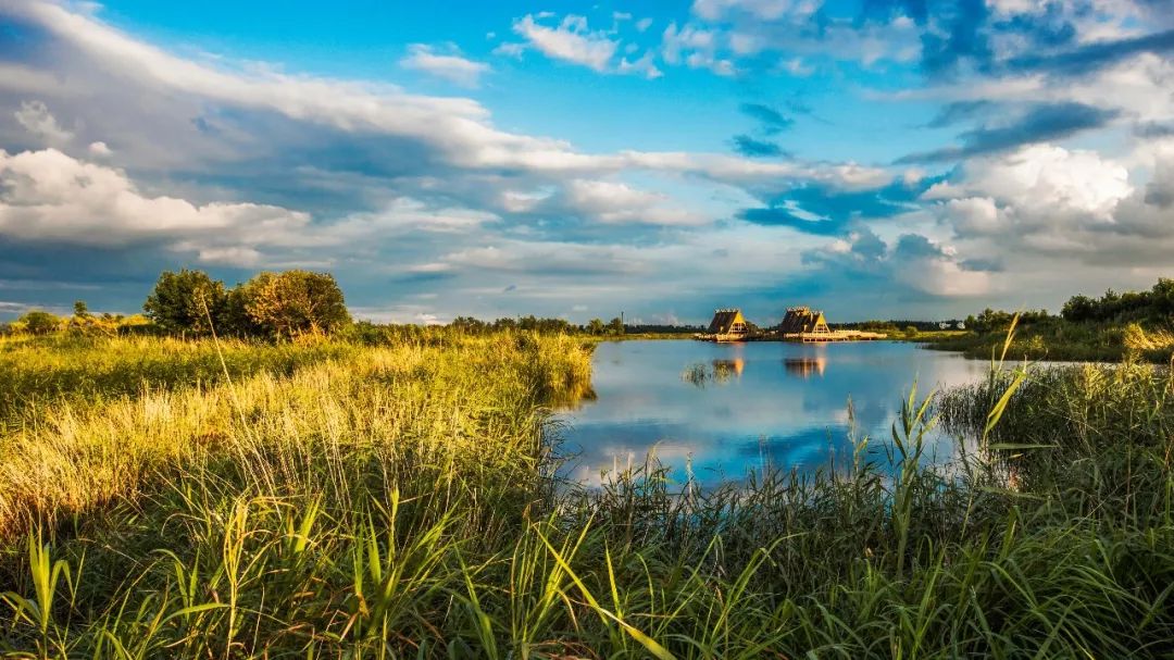 21 青岛姜山湿地马拉松:汗血宝马,羊驼领跑,前20名有奖金!