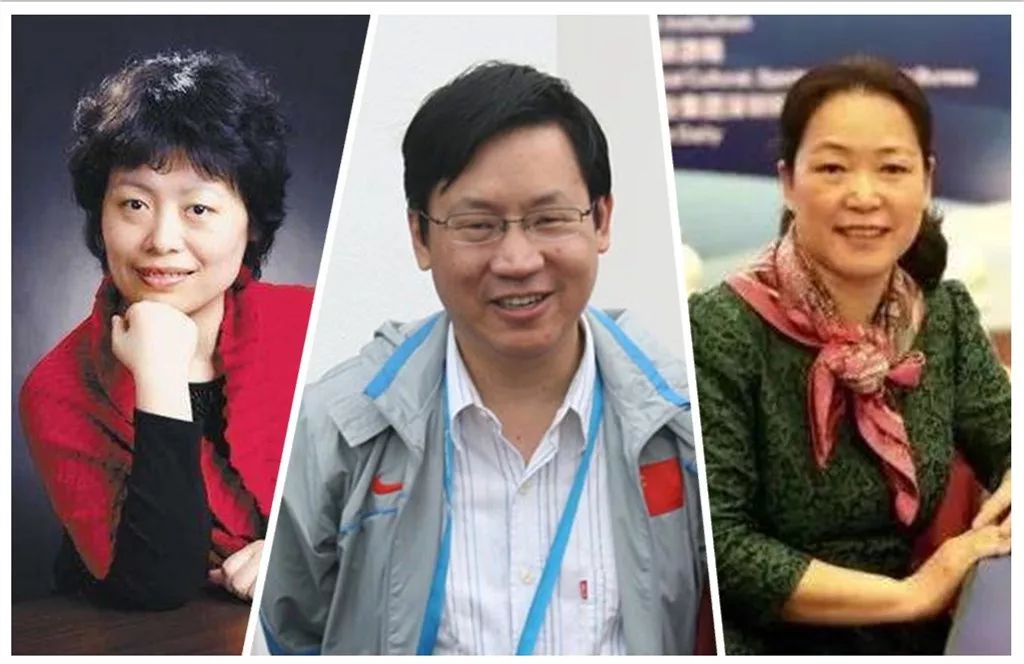 本书由四届棋后谢军,国际裁判虞善忠,高级翻译余筱莉和国际象棋记者梁