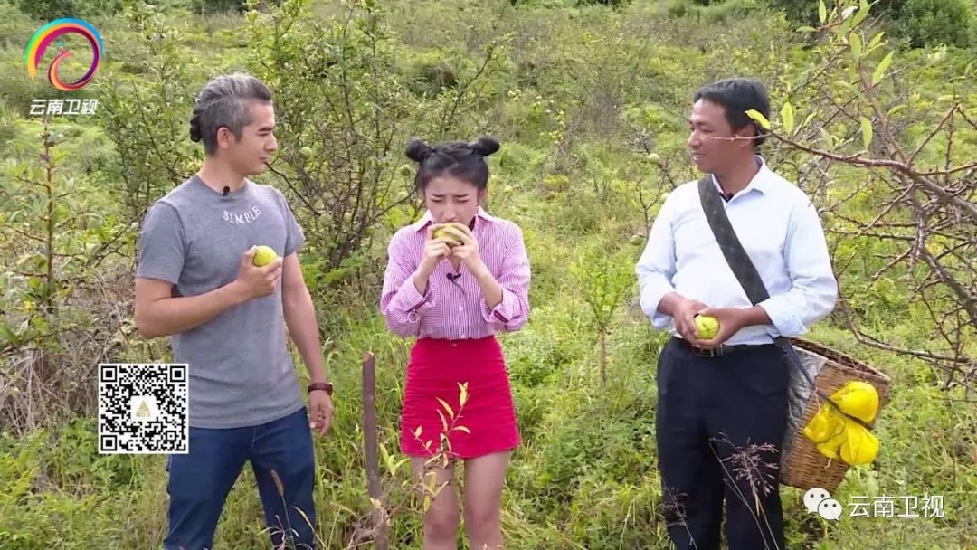 七彩飘香 | 热爱美食,热爱生活,生活才不只是眼前的糟糠