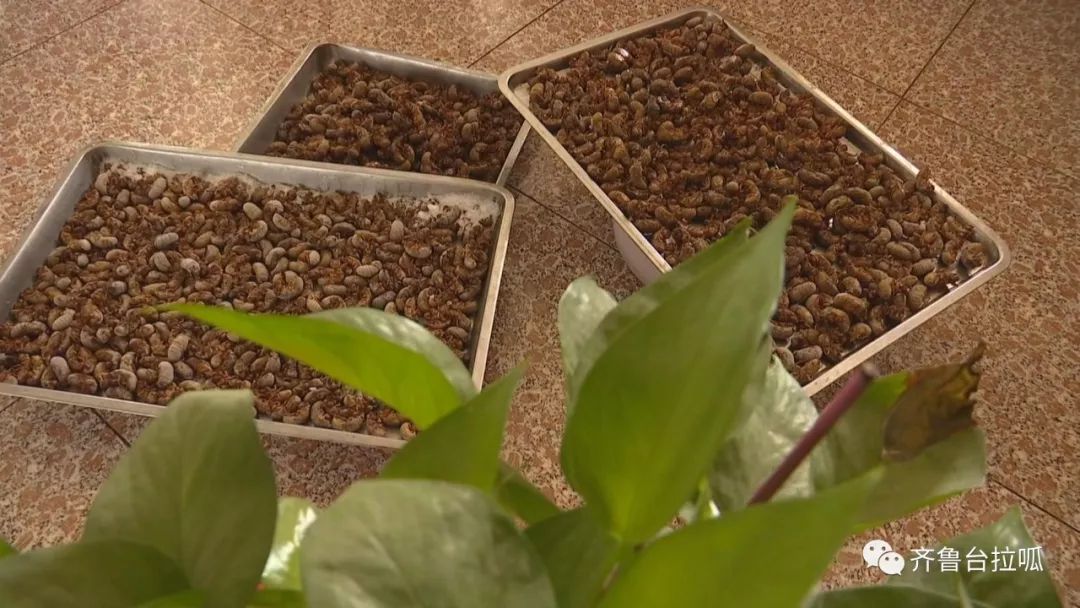 这个买卖好!一夏天"白捡"上百万.