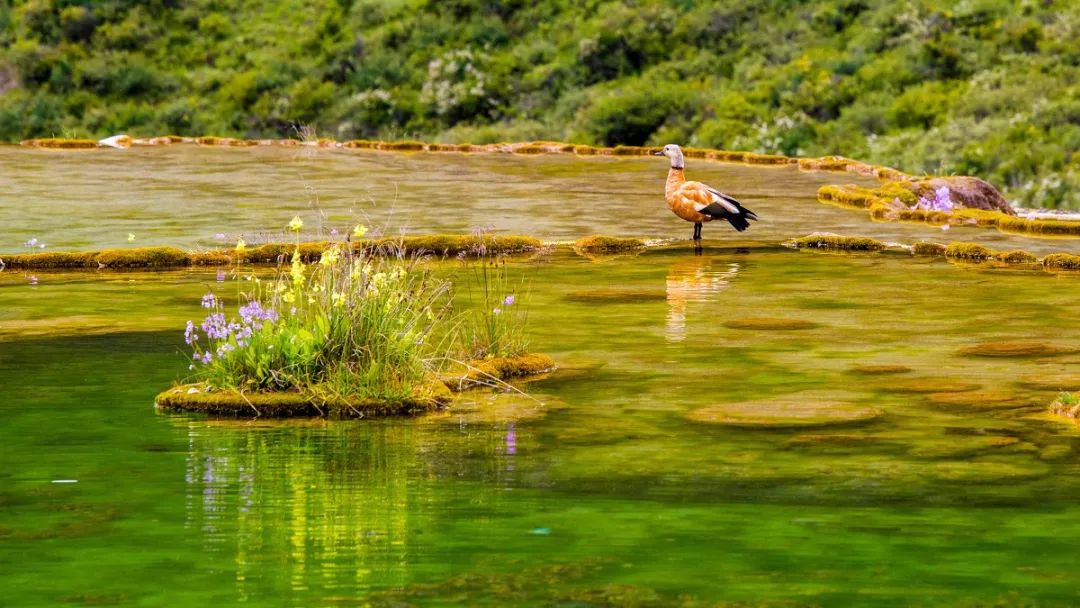图虫网 老北但最美的风景永远最低调都美出了新高度每一条河流四川的