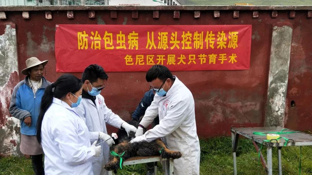 色尼区创建自治区包虫病综合防治示范区 接受自治区中期评估