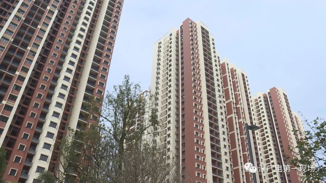 龙岗坂田公租房即将推出,下周一开始网上认租|坂田|公租房|呈祥花鞍