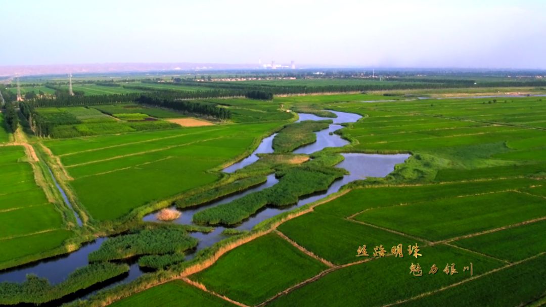 银川|银川平原|灌渠_新浪网