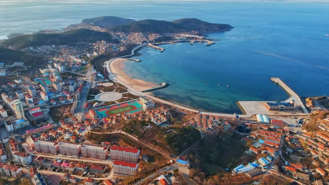 獐子岛的扇贝又双叒叕死了这次不能再死得不明不白