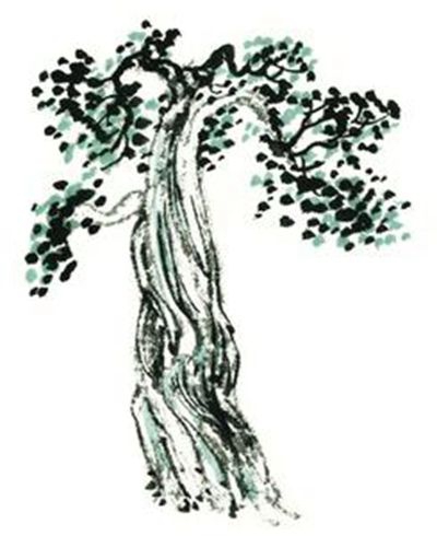 新时代我们应该有怎样的文化自信