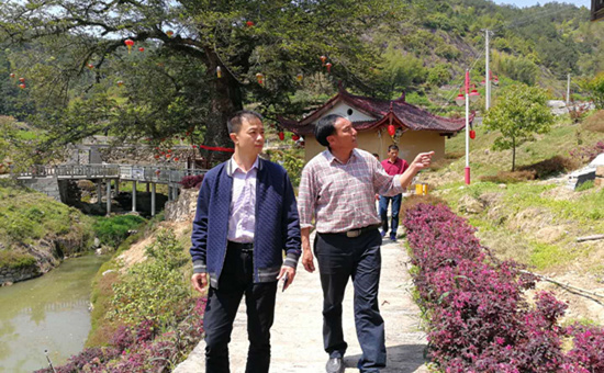 永泰副县长深入赤壁景区和芹草村调研旅游工作