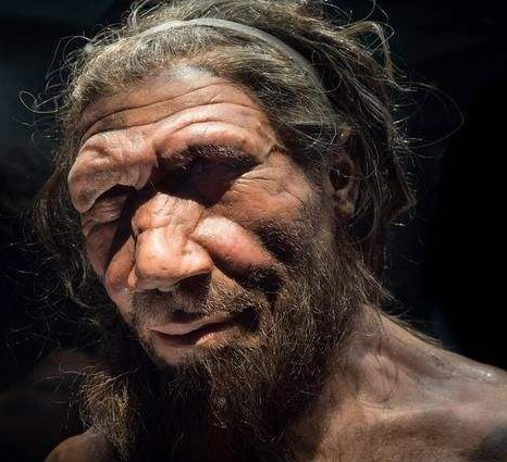 当智人走出非洲的时候,沿路就遇到了早已定居的尼安德特人,在这个过程