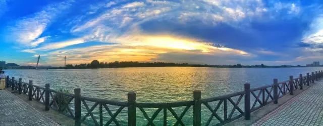 中山板芙水乡博物馆正式开馆这份旅游攻略请收好