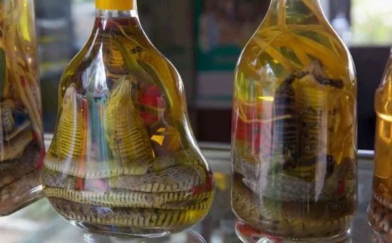 用动物泡酒不能直接喝用这些药材泡酒有人喝完已送命