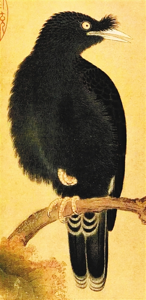 画里"萌鸟"知多少|桃鸠图|梅雀图|画家_新浪新闻