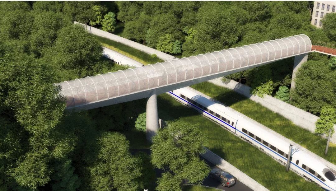 美爆10公里空中走廊30米高悬索桥厦门健康步道52个出入口位置公布快看