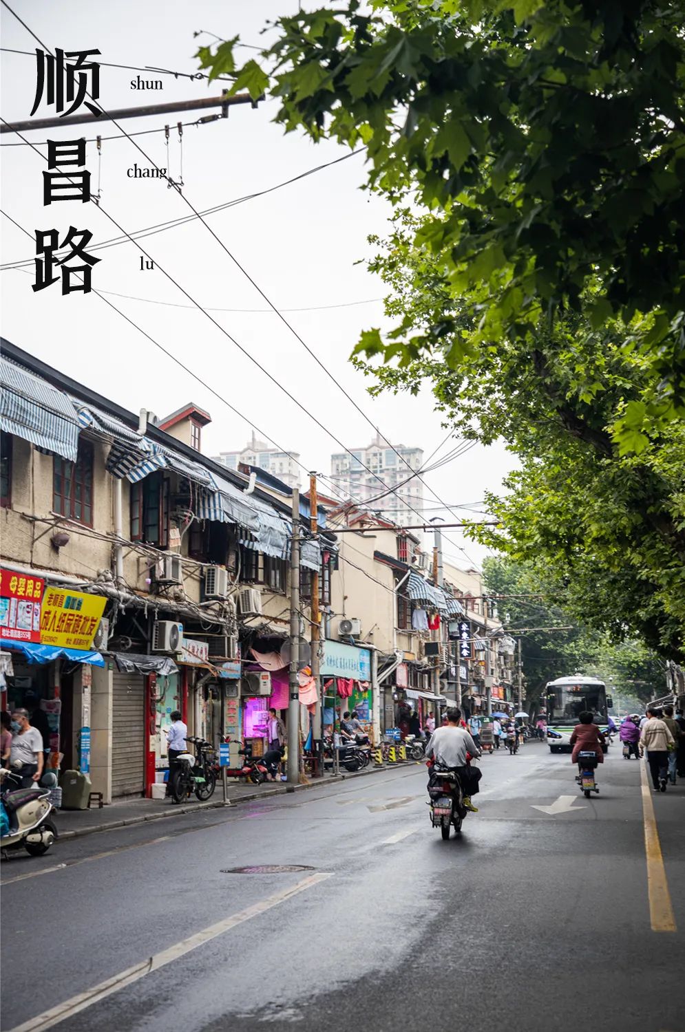 回忆杀!卢湾区超嗲百年马路,上海人永远记得你!