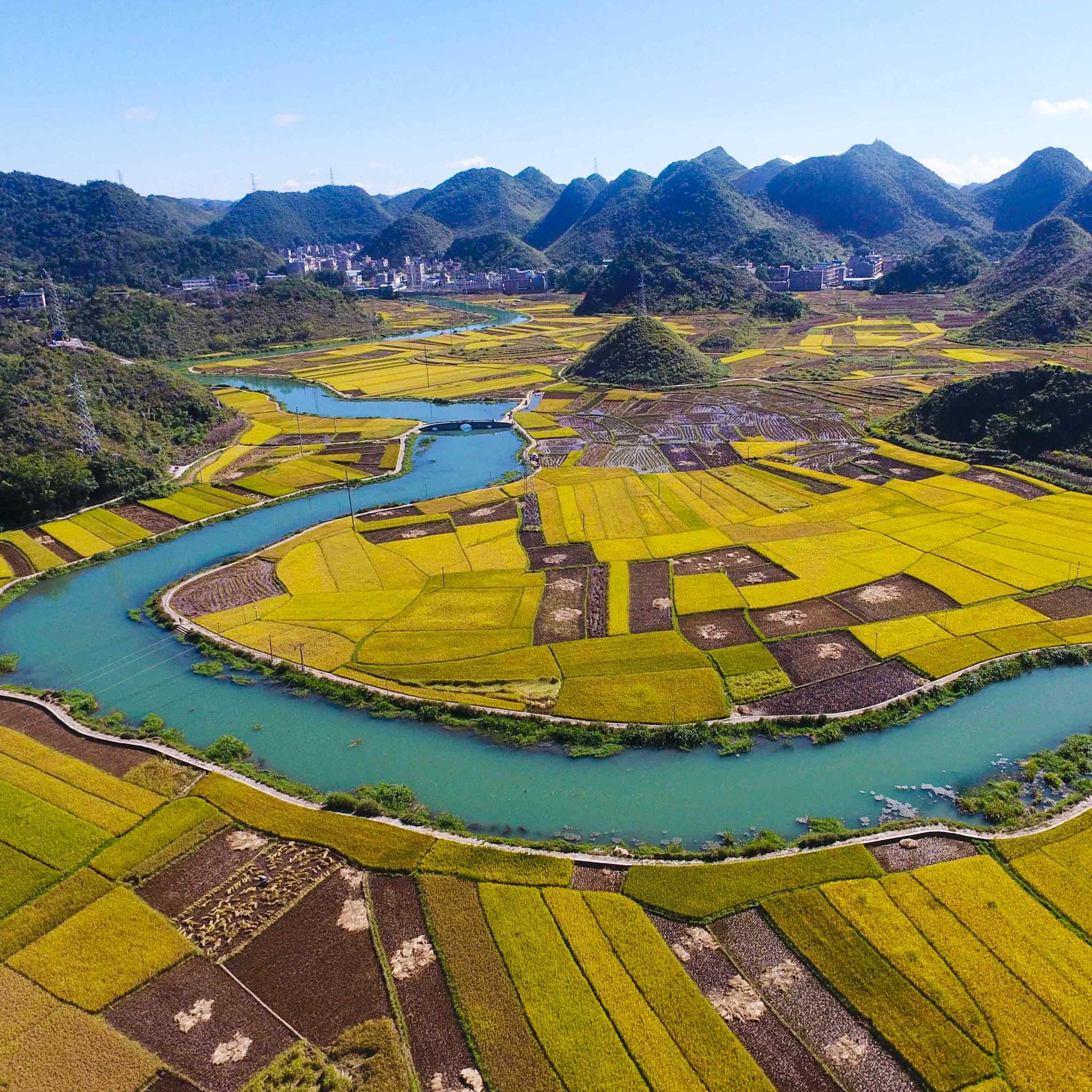 美丽中国醉美金秋丰收图