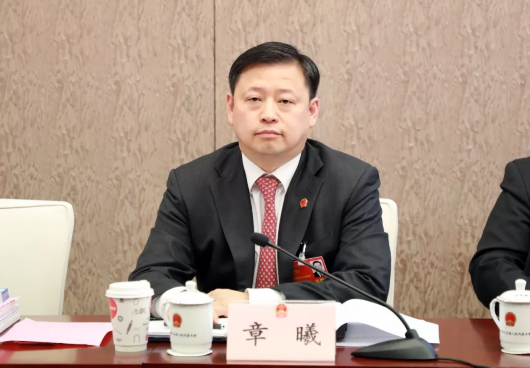 比如,上海市民熟悉的章曦,此前是嘉定区委书记,今年