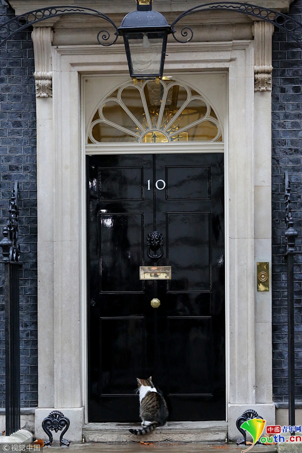 被关在门外的拉里起先"安静且耐心地"蹲坐在唐宁街10号的黑色大门前.