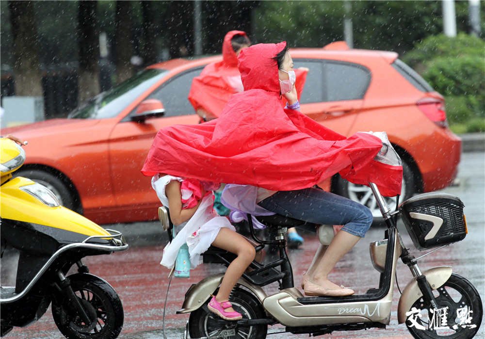 有人讨厌惺惺作态的台风,于是"摩羯"就来真的了今天的雨有多大呢?