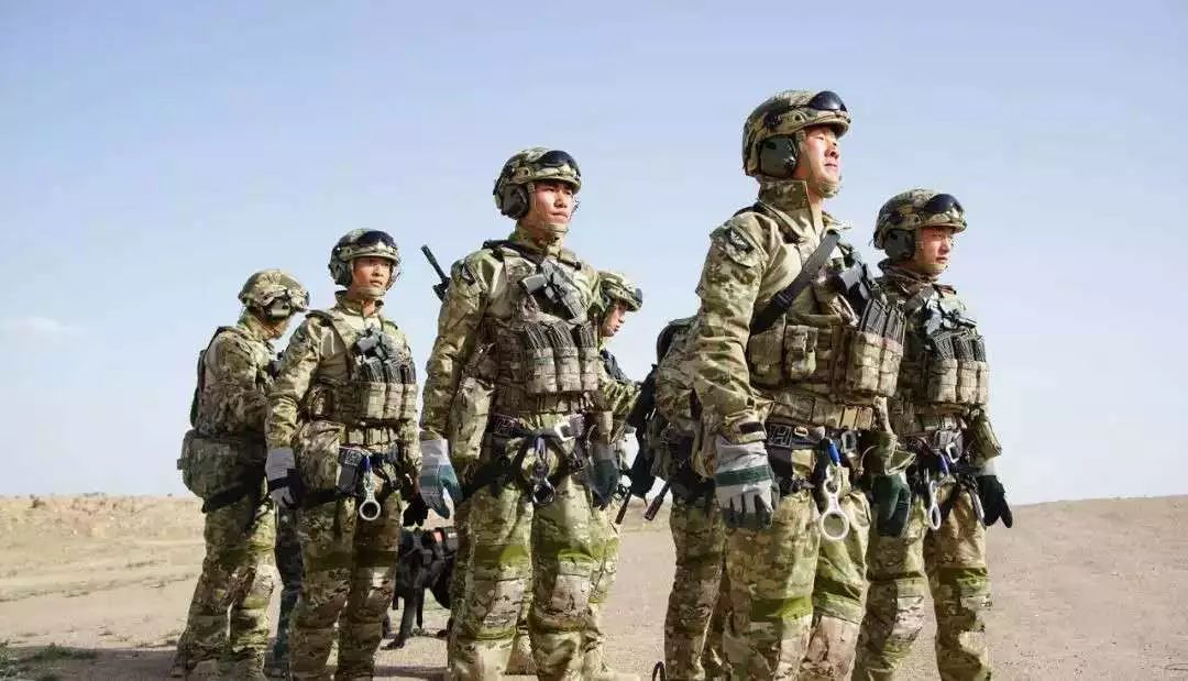 不过,据传言解放军很可能就快要装备全地形迷彩了,中国迷彩被广为诟病