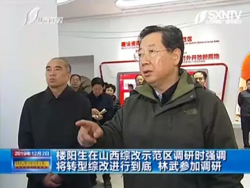 樓陽生(右)與林武(左)等調(diào)研
